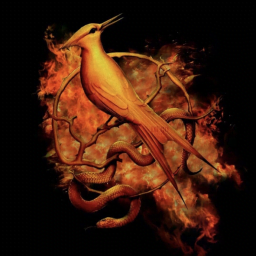 The ballad of songbirds and snakes : characters study in scarlet